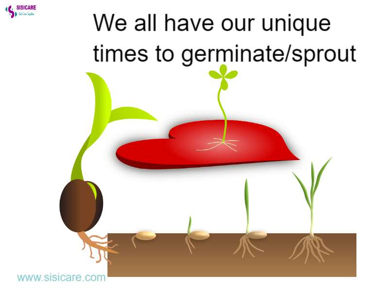 sisicare's tweet image. 🌱 When we plant different seeds, they do take time to germinate.
🌱 We are like these seeds. We have our unique times to sprout.🌺
🌱 Be patient. You&apos;ll sprout at the right time.⌚
Please retweet the post. 

Charlene Benfica Drogba Harry Kane Tim Kipchumba Leao Geaorgina Ngenga