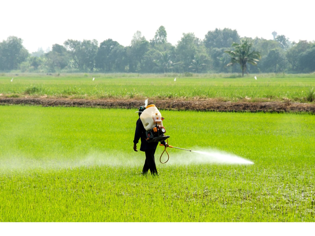 BrandStoryNews's tweet image. Pesticide Detection Market Expects a CAGR of 7.4% Due to the Growing Demand during the Forecast Period 2022-2032

apnews.com/press-release/…

#PesticideDetection #KISSPRNewswire #KISSPRBrandStory #KISSPRPressRelease