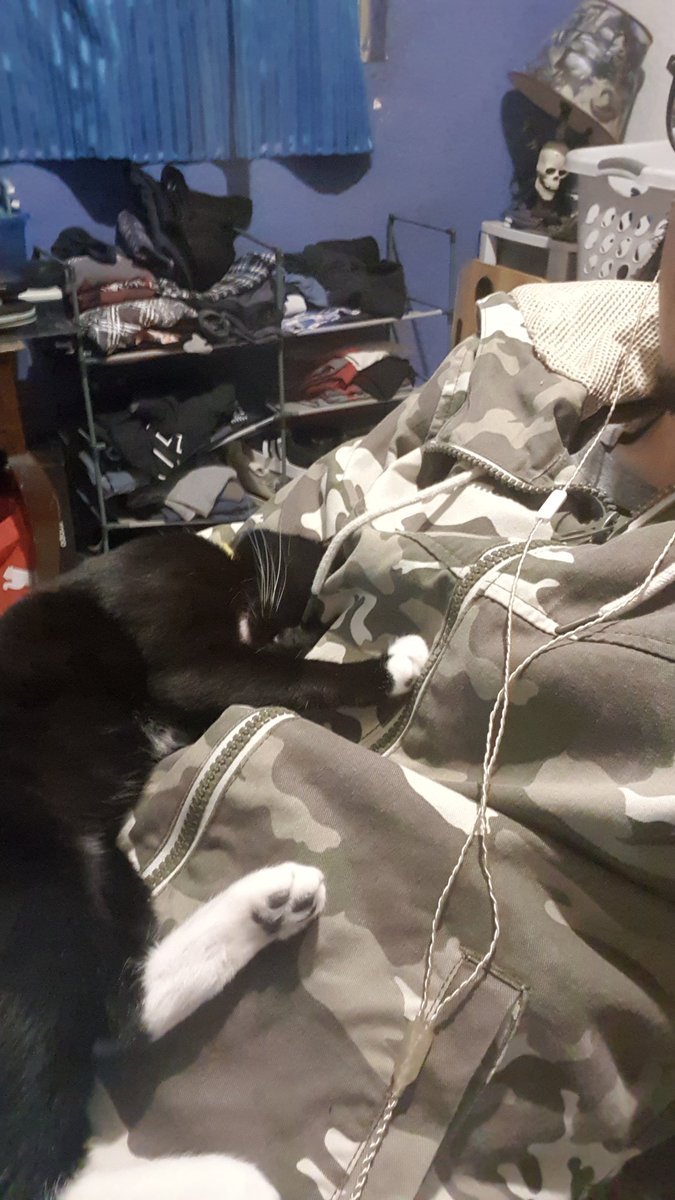 Rojito◇ tweet media