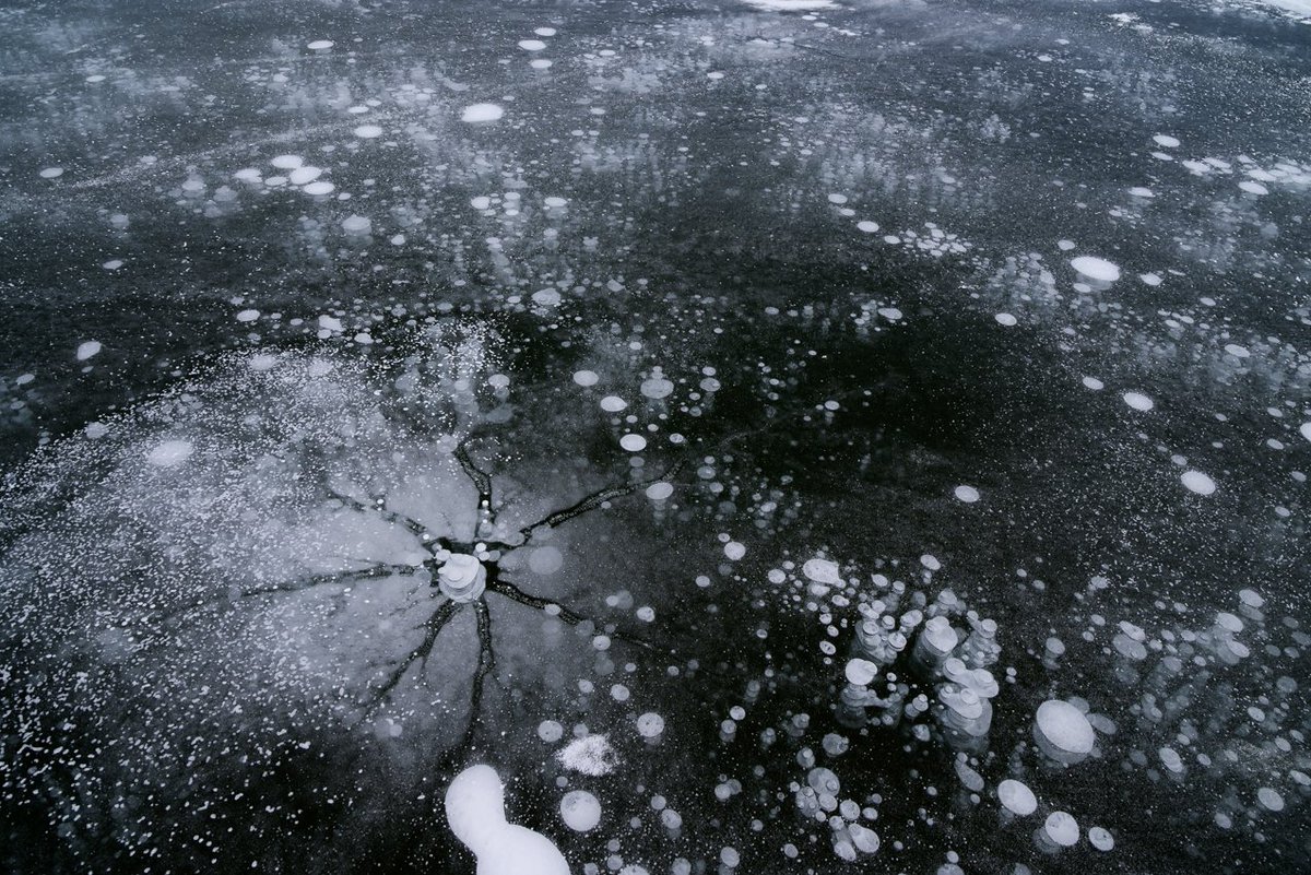 ryozy's tweet image. 結氷後に雪が積もったのであまり期待していなかった今シーズンのアイスバブルですが、風で雪が飛ばされたのか、湖面に広がっていました。

#北海道 #icebubble #アイスバブル