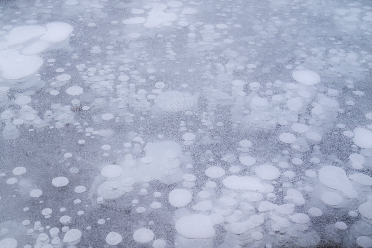 Ryozy_Iwasaki's tweet image. In winter, Lake Nukabira is known for not only the Taushubetsu bridge, but also for "Ice Bubbles". I found a place where ice bubbles spread all over the surface of a frozen lake.

#hokkaido #japan #icebubble #travel #landscape
