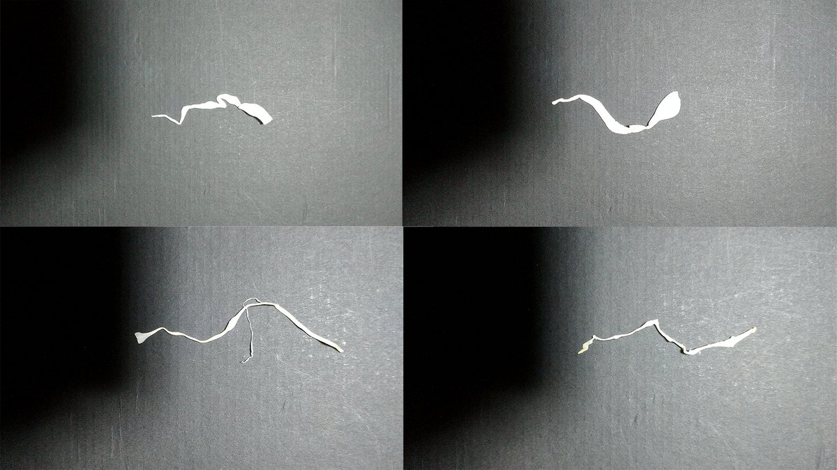 Maskman_y's tweet photo. 1/2
【雷テクスチャの作り方】
冬の自由研究~キャベツで雷は作れるのか~
1.千切りキャベツを買う
2.良い形を選んで黒い物の上で撮る
後で食べられるように綺麗な物を選びましょう
3.After effects または Photoshopでサイズ調整、キャベツ部分以外を黒くして2×2のテクスチャする
#VFX #effects https://t.co/caFJPHuzEe