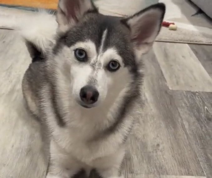 dog really lookin like bitch, stop playin wit me https://t.co/2sSVcWgobr