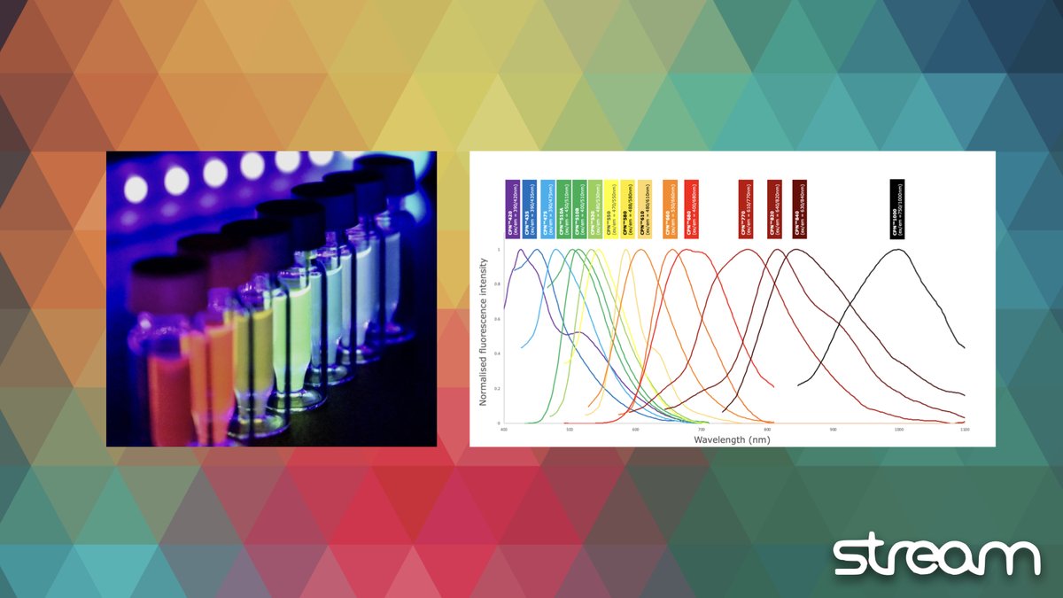 #DYK our Conjugated Polymer #Nanoparticles are…

🌟Intensely fluorescent
💪Incredibly robust and stable
🌈 Available in emission wavelengths from 420 to 1000nm, covering the visible and #IR spectrum

Find out more on our website: streambio.co.uk/products/ #DiscoverBright