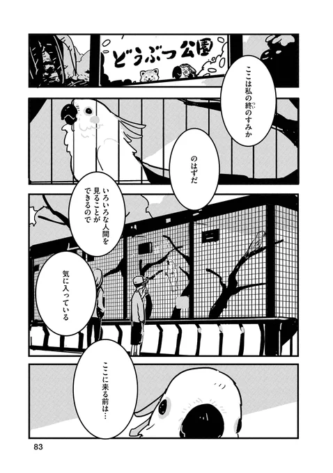 キバタンのキーちゃん 1/8 