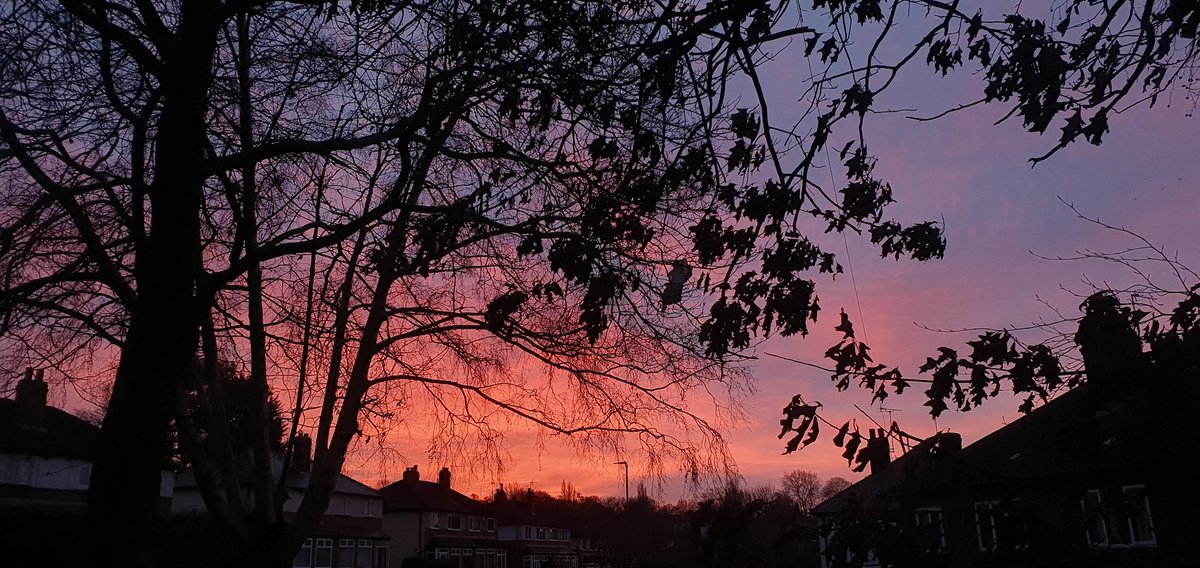 Matt Broom tweet media