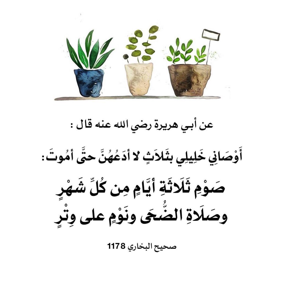 abuod2004's tweet photo. @informatiions https://t.co/HRCt4XhyWx