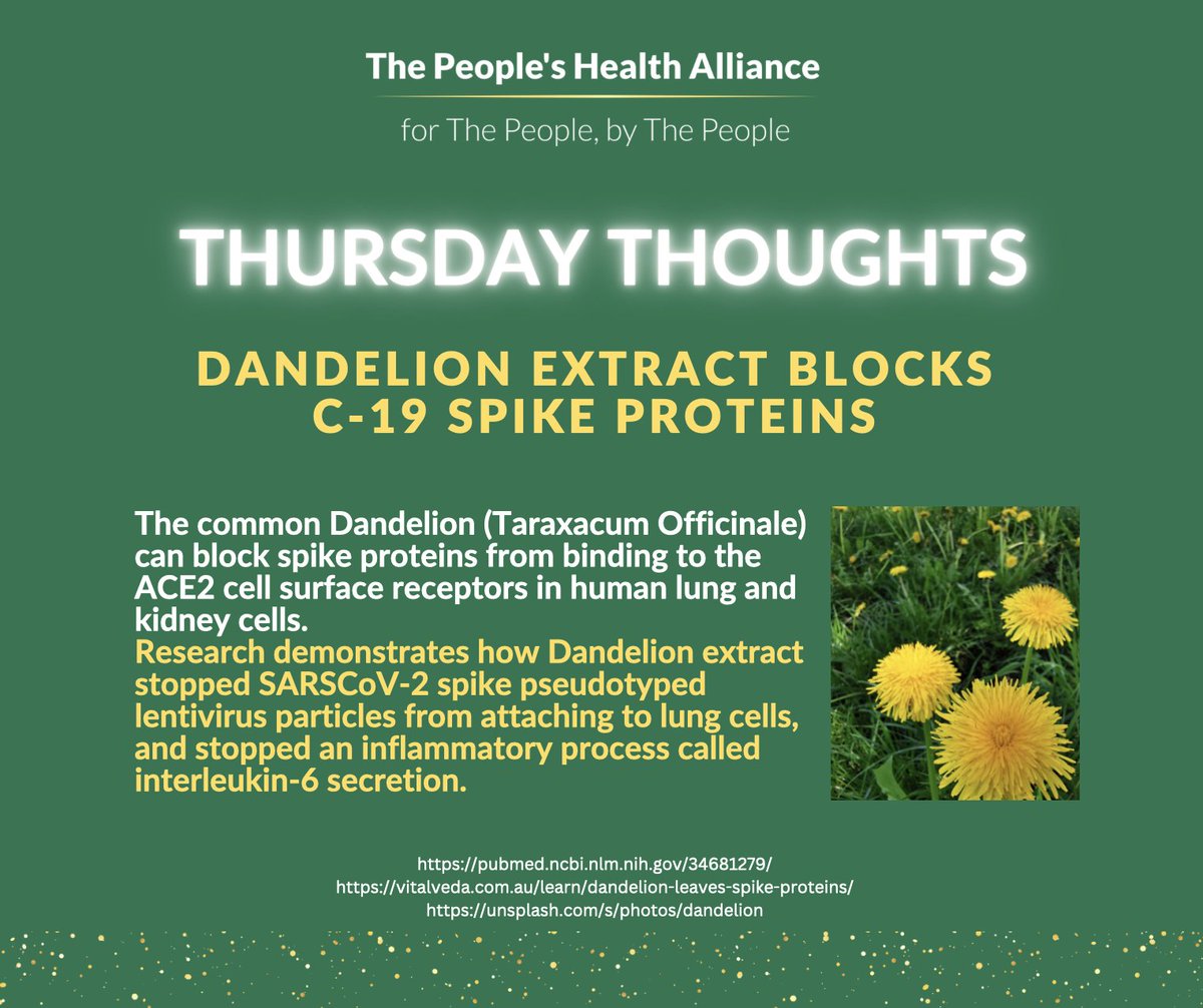 TPHA_UK's tweet photo. What are your thoughts this Thursday morning? Optimistic we hope! Together we've got this 💖 #thursdaymorning #health #support https://t.co/cLQvHYs9iZ