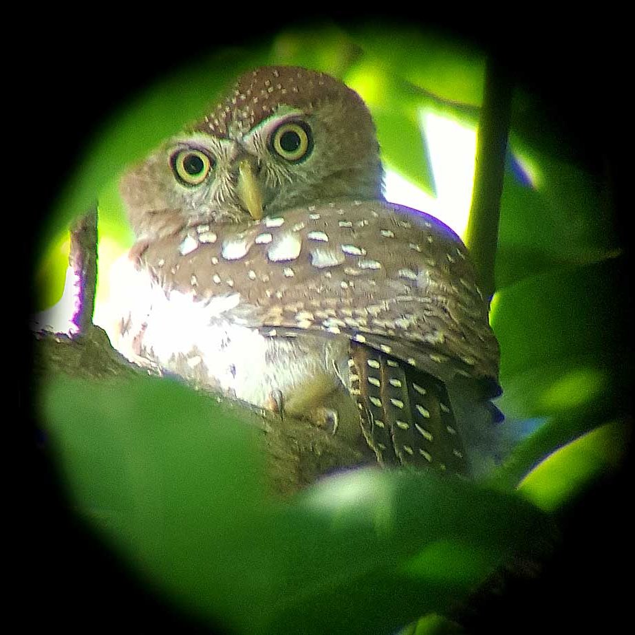 Kathryn Burrington | TravelWithKat tweet media