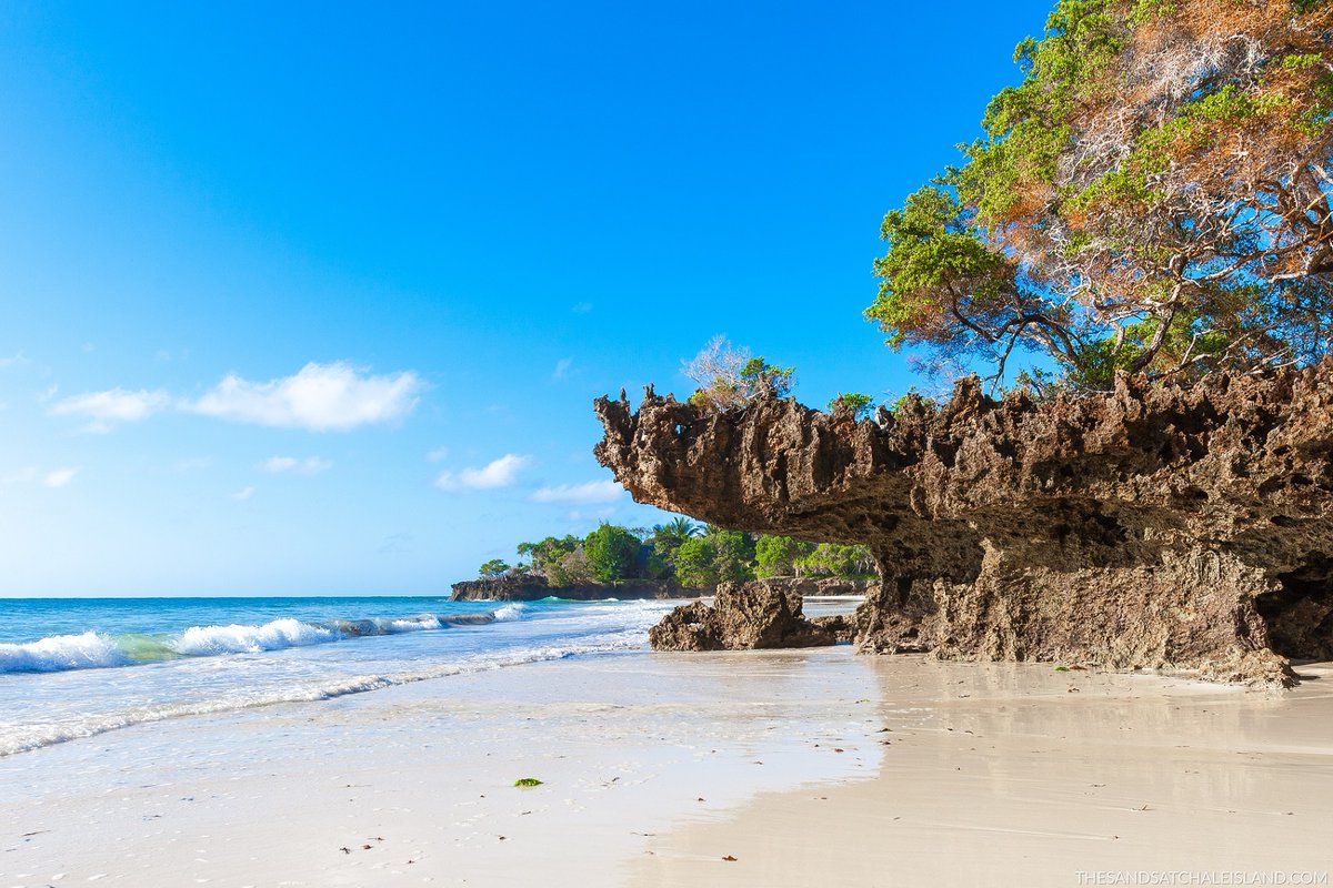AlvahTours's tweet photo. Kenya has the wildlife, weather, scenery and coastline that will make your trip an epic adventure.

#alvahtours #safari #wildlife #africa #travel #beautiful #bucketlist #adventure #nature #wanderlust #picoftheday #kenya #tembeakenya  #mccarthy #princewilliam #klaythompson https://t.co/x3xcIGihE8