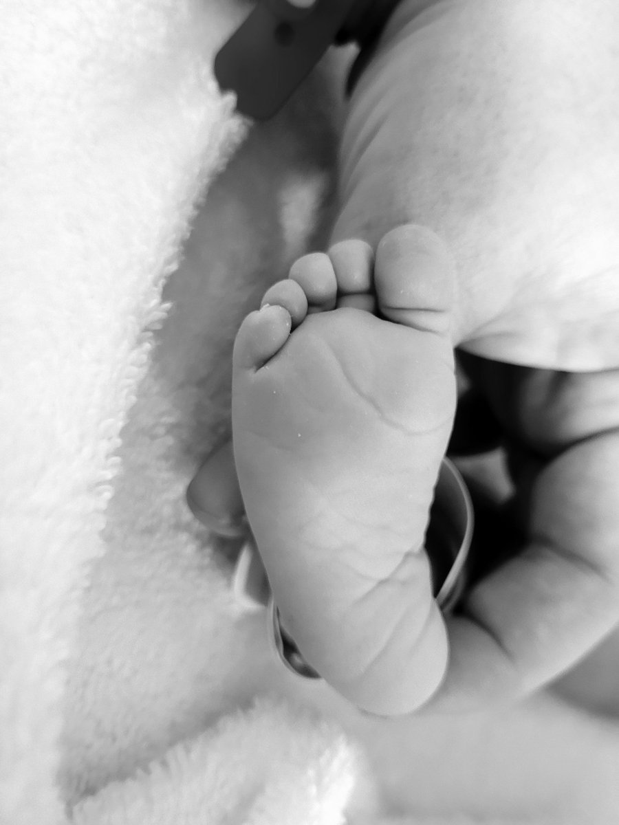 Lynsey Hamilton tweet media