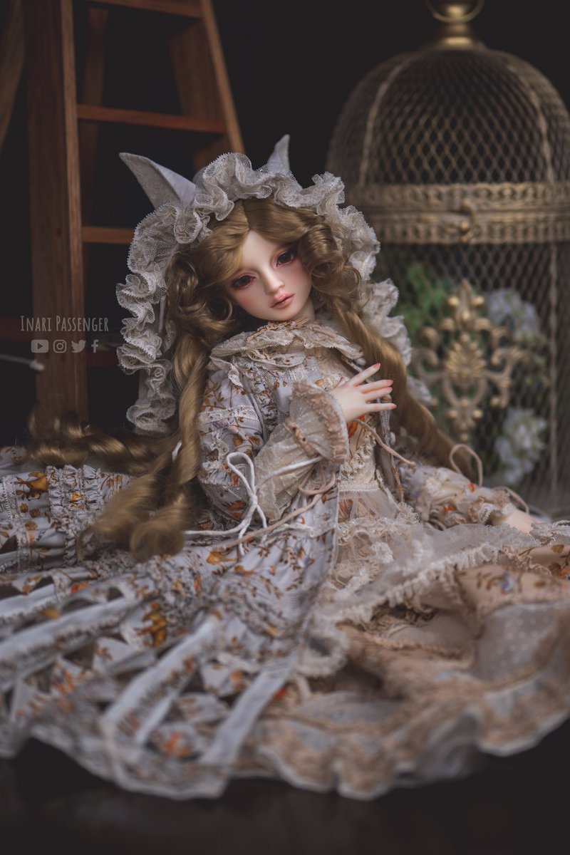 InariPassenger's tweet photo. 狐たち🦊

ドレス@fleurgeste 様
ウィッグ@KamR_Shop様

#KamRウィッグ #fleurgeste #スーパードルフィー　#ボークス　#sd_マーシャ https://t.co/zmSwcX2ixM