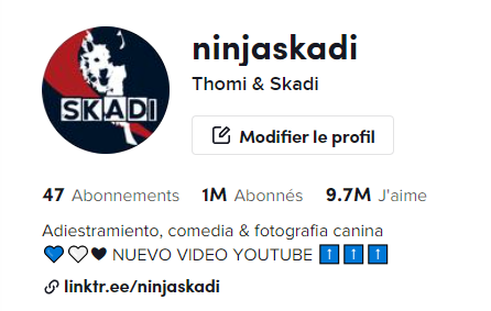 NinjaSkadi's tweet photo. No es todo los días que uno cumple 1M de seguidores <3 https://t.co/y99udaGTeC