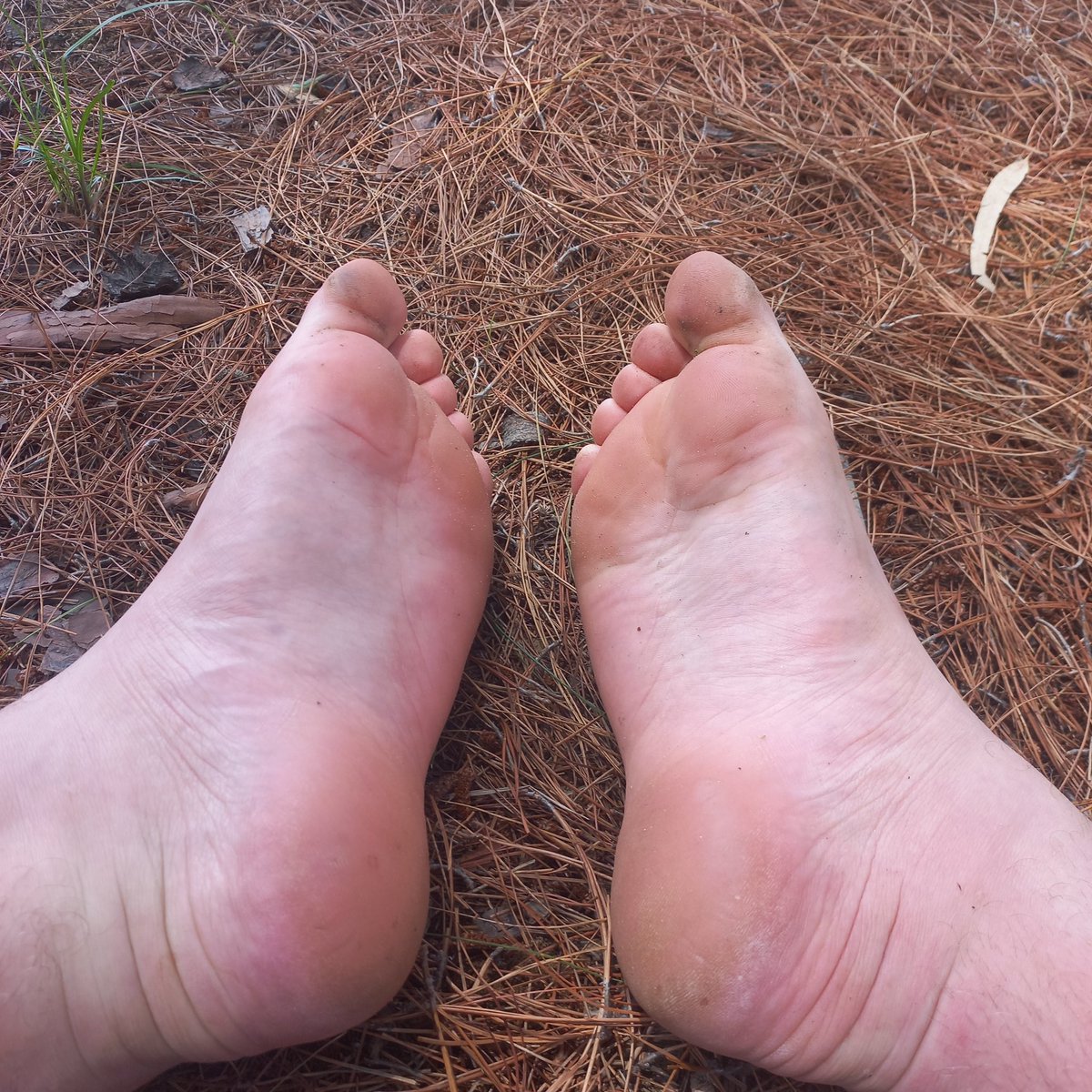 NotanuBlisss's tweet photo. Feet in the woods 
I took this when I went camping https://t.co/mSBvkRJ3Kb