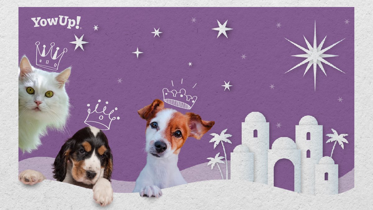 YowUp_es tweet media