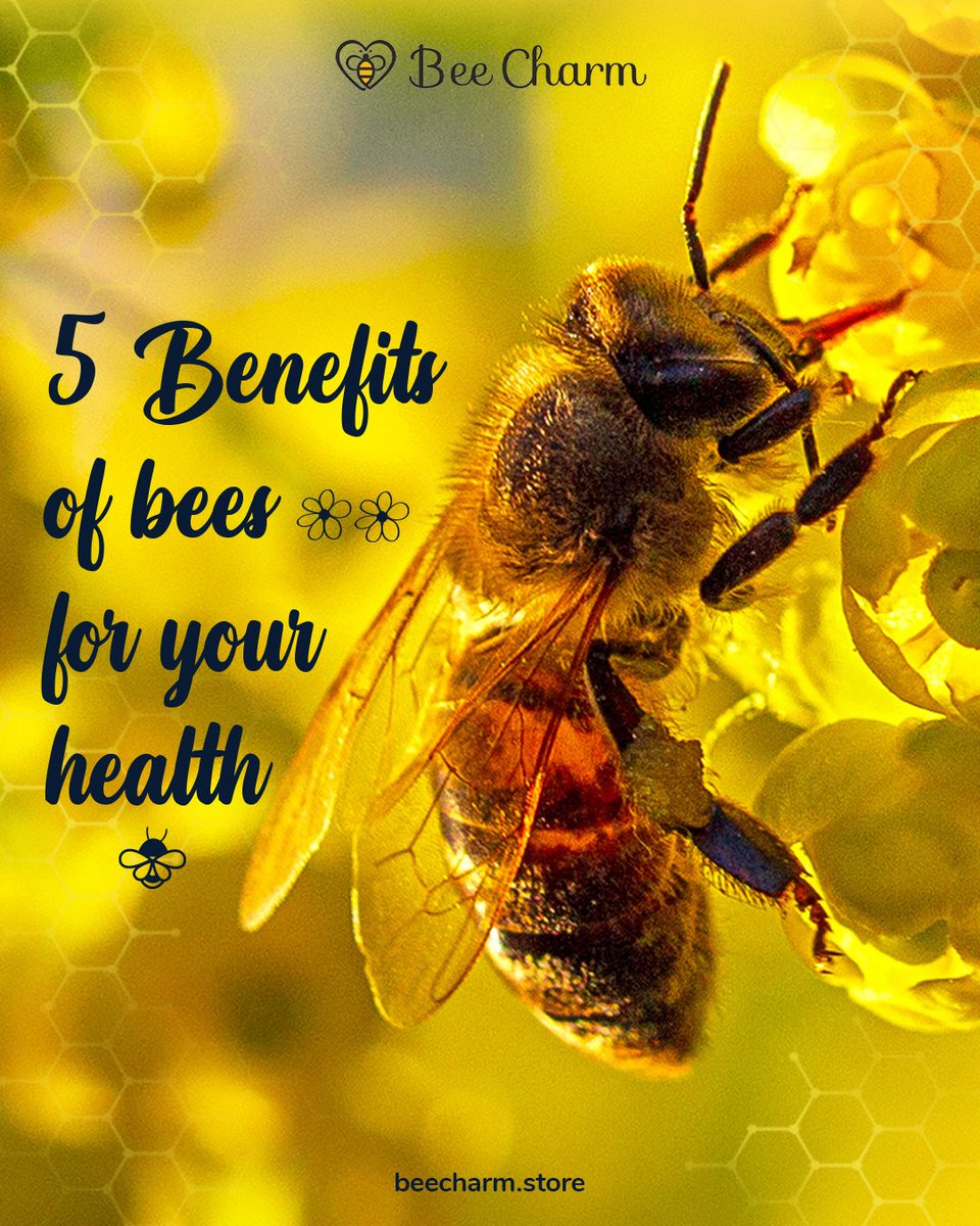 Bee Charm (@beecharmshop) / Posts / X