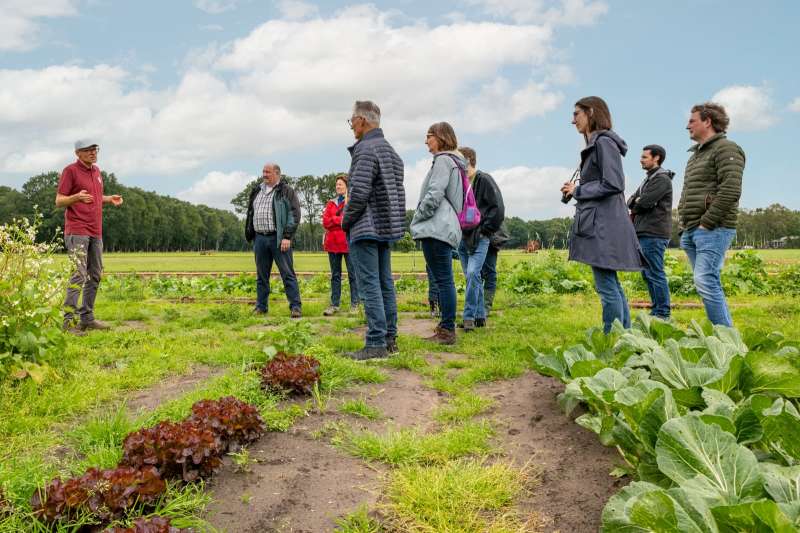 Op 7 januari geven we weer een rondleiding over onze boerderij voor geïnteresseerden. Elke week verse groenten, eitjes en voor wie wil: (h)eerlijk vlees. Tijdens deze ochtend leggen we je alles uit over het concept en de mogelijkheid om lid te worden. bit.ly/3CpgoDs