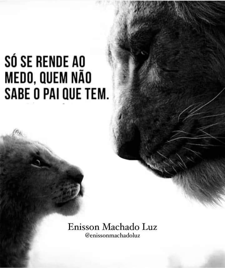 jacin_aria's tweet photo. Bom dia https://t.co/TuBYD8Wk33