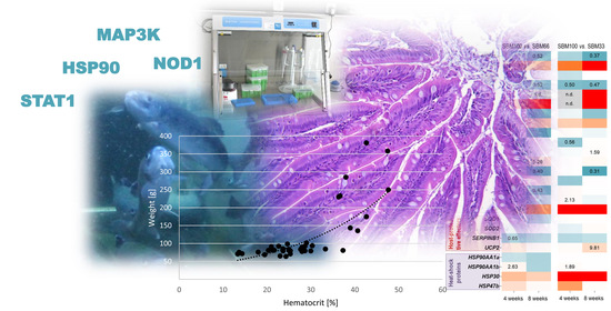 Fishes_MDPI's tweet image. 🧐Feature Paper #mdpiFishes:

A Multidisciplinary Approach Evaluating #Soybean Meal-Induced #Enteritis in Rainbow Trout Oncorhynchus mykiss

🔗doi.org/10.3390/fishes…

#fishdiet #fishmeal #fishdisease