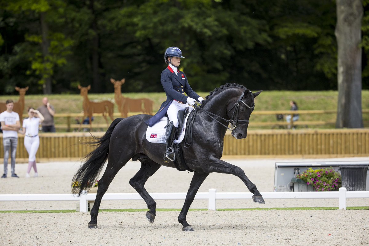 TopSpec2's tweet photo. Many congratulations to #TeamTopSpec rider Lottie Fry on starting the new year at the top of the @FEI_Global Dressage World Rankings, with Glamourdale topping the equivalent horse rankings! 🤩 

💛💚💛

#FedonTopSpec 
#CreatedwithoutCompromise 
#OutstandingResults https://t.co/L8gWdSdCx6