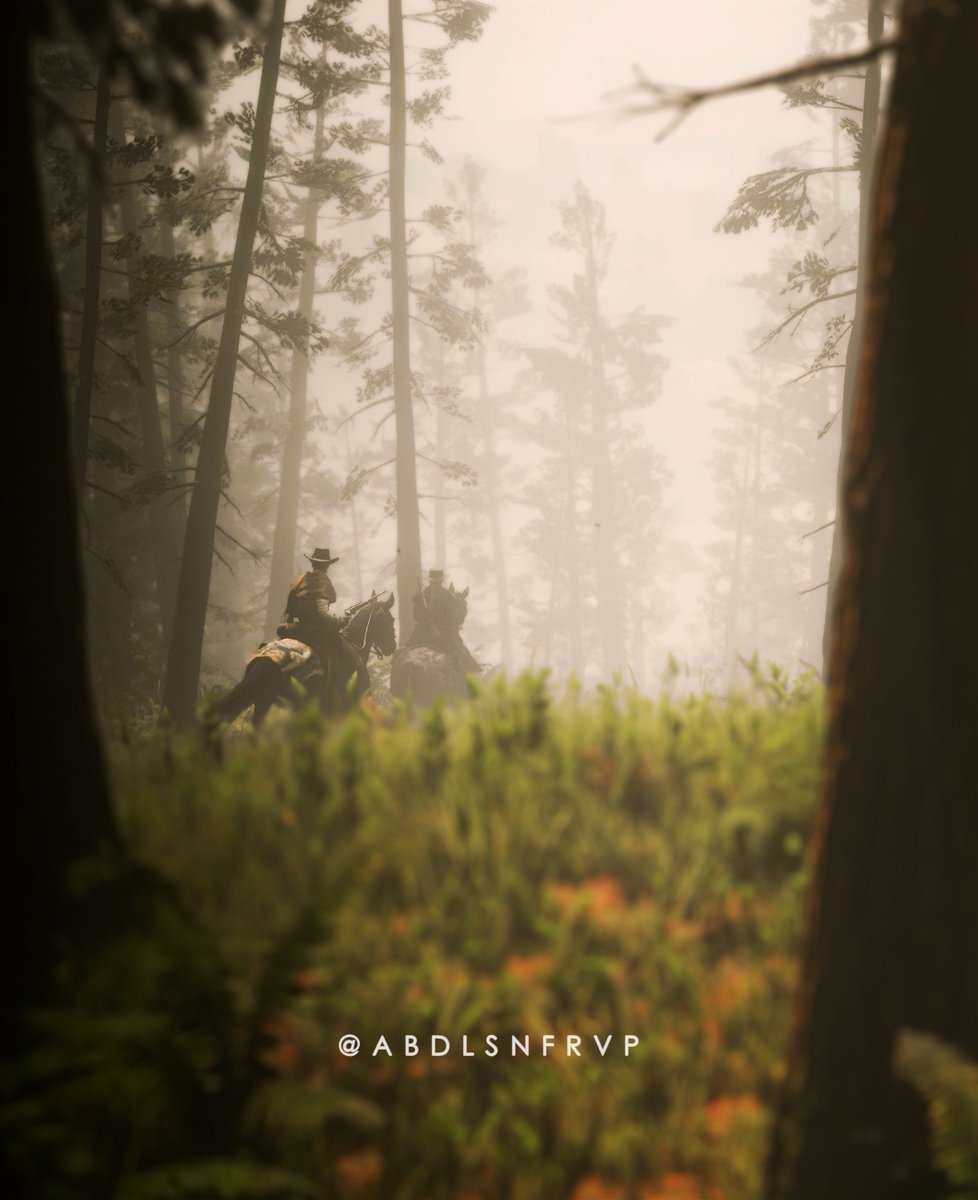 abdlsnfrVP's tweet photo. Red Dead Redemption 2
@RockstarGames https://t.co/ndgkmWaXy3