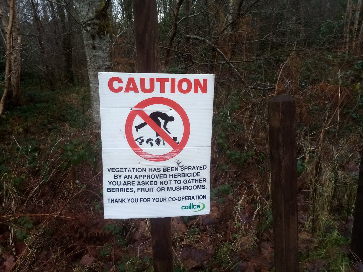 pondsntrees's tweet photo. @IrishRainforest Our recent walk in a (supposed) Coillte forest was completely silent. We saw one robin and one blackbird the whole afternoon and of course this appalling sign did not add much joy to the oppressive doom and gloom. https://t.co/9FG13xbDTO