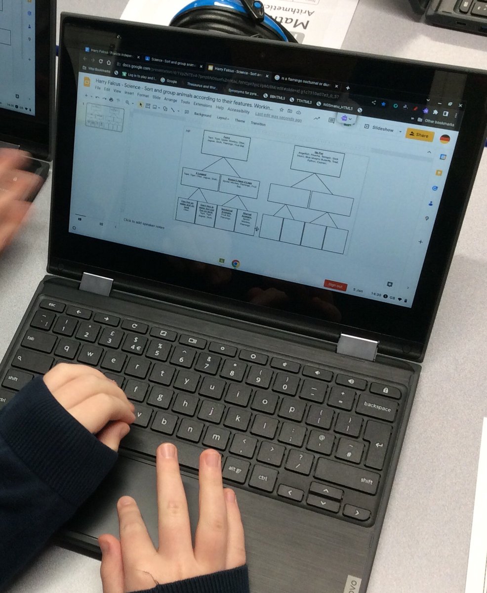 CamblesSchool's tweet image. In Team Koalas, we are learning how to classify animals according to their features in Science and using software to present the data in Computing. #CamblesforthScience #CamblesforthComputing