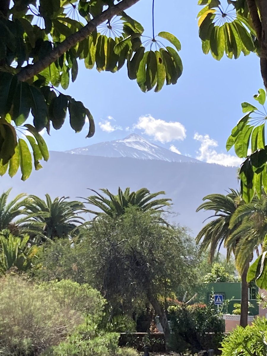 ADayOnTenerife's tweet photo. #Vacaciones 🌞 #Canarias 🏝 #Tenerife 🌴 #PuertoDeLaCruz 🏖 #Albertos ☕️ #Teide 🌋 #Snowcap 🏔 Un día nuevo, pero la misma felicidad 😜 https://t.co/93NlLELFO6