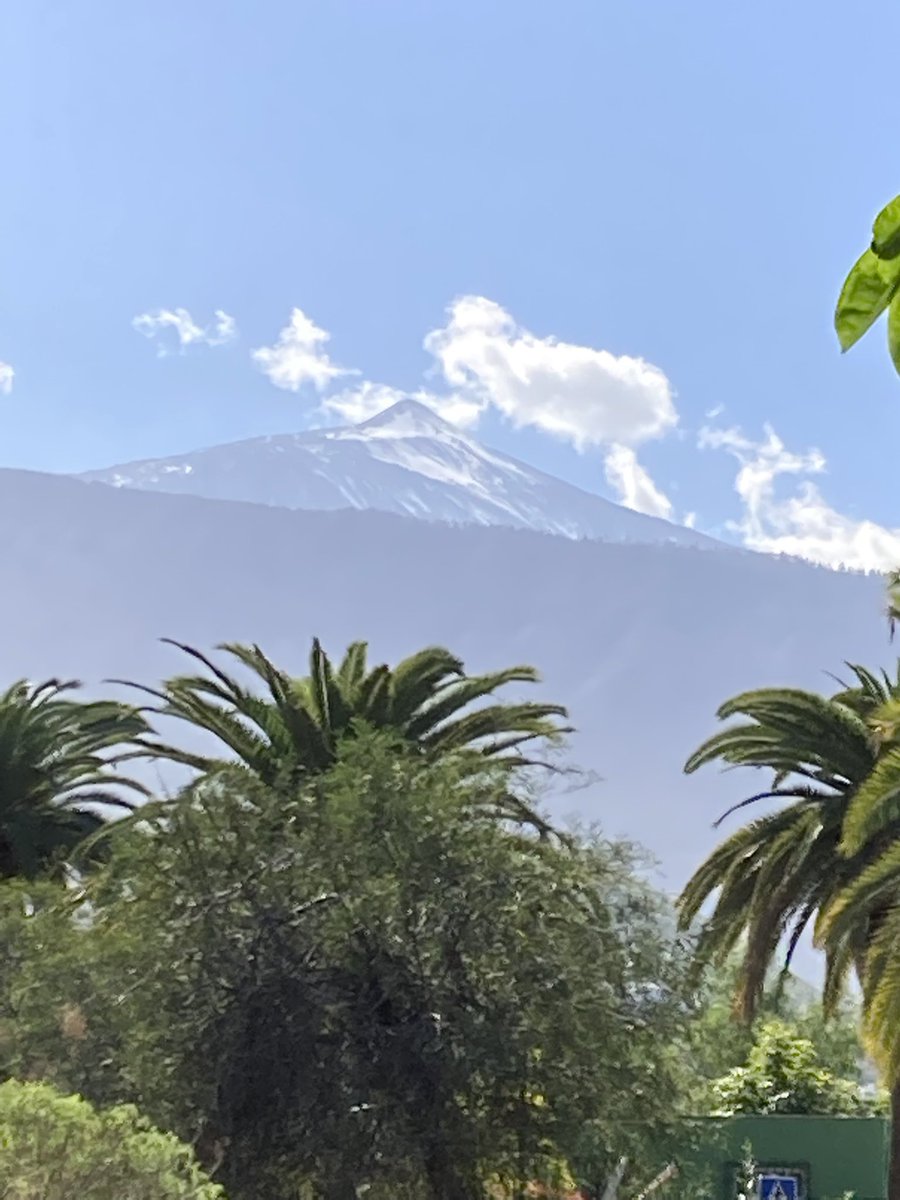 ADayOnTenerife's tweet photo. #Vacaciones 🌞 #Canarias 🏝 #Tenerife 🌴 #PuertoDeLaCruz 🏖 #Albertos ☕️ #Teide 🌋 #Snowcap 🏔 Un día nuevo, pero la misma felicidad 😜 https://t.co/93NlLELFO6