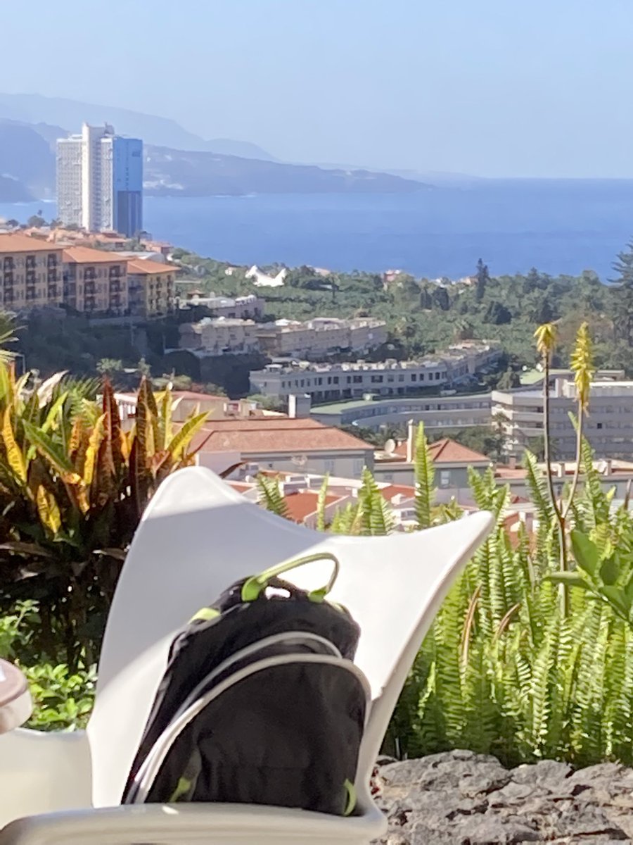 ADayOnTenerife's tweet photo. #Vacaciones 🌞 #Canarias 🏝 #Tenerife 🌴 #PuertoDeLaCruz 🏖 #Albertos ☕️ #Teide 🌋 #Snowcap 🏔 Un día nuevo, pero la misma felicidad 😜 https://t.co/93NlLELFO6