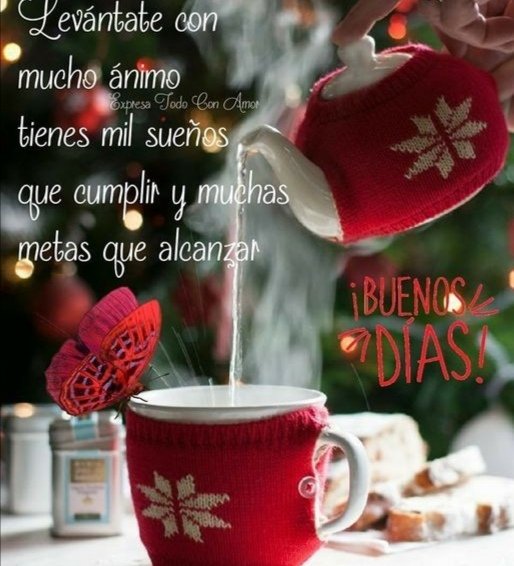 Un nuevo día y hay que vivirlo con alegría y mente positiva.🌹