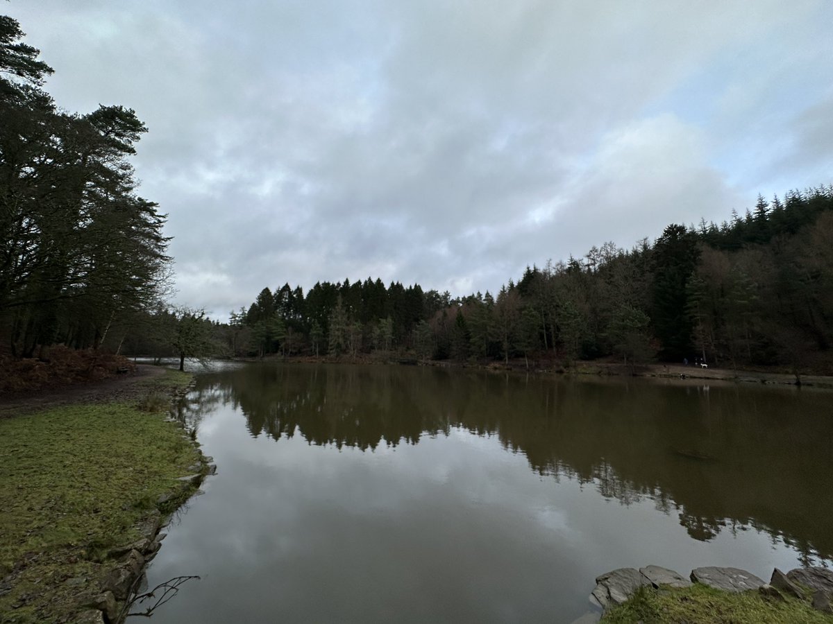 wyevalleywalk's tweet photo. #walks #forestofdean https://t.co/DGoNLFLKJe