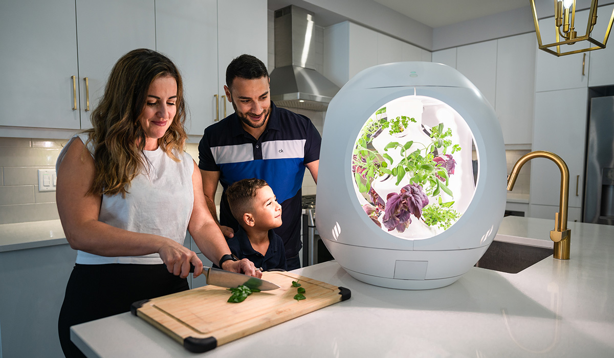 Carleton_U's tweet image. A brand-new, high-tech indoor gardening pod aims to address food insecurity and the rising cost of groceries.  Learn about @PlantaformCA, founded by former #CarletonU student Alberto Aguilar.🌱

challenge.carleton.ca/food-security-…