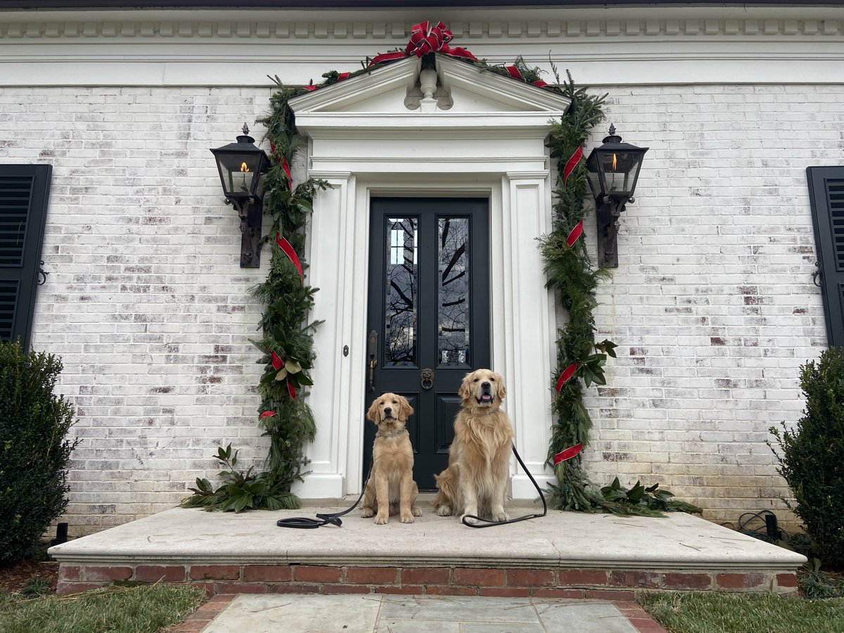 Suburban_K9's tweet photo. Please meet Finn and Sinko!
These good bois are training with us in one of our House Call Packages in Nashville, Tennessee!
Who else misses the holiday?? Always goes too fast...
#SK9 #SuburbanK9 #DogTrainers #DogTraining #NashvilleDogTraining #DogBootCamp #InHomeDogTraining https://t.co/qervJ8RGNI