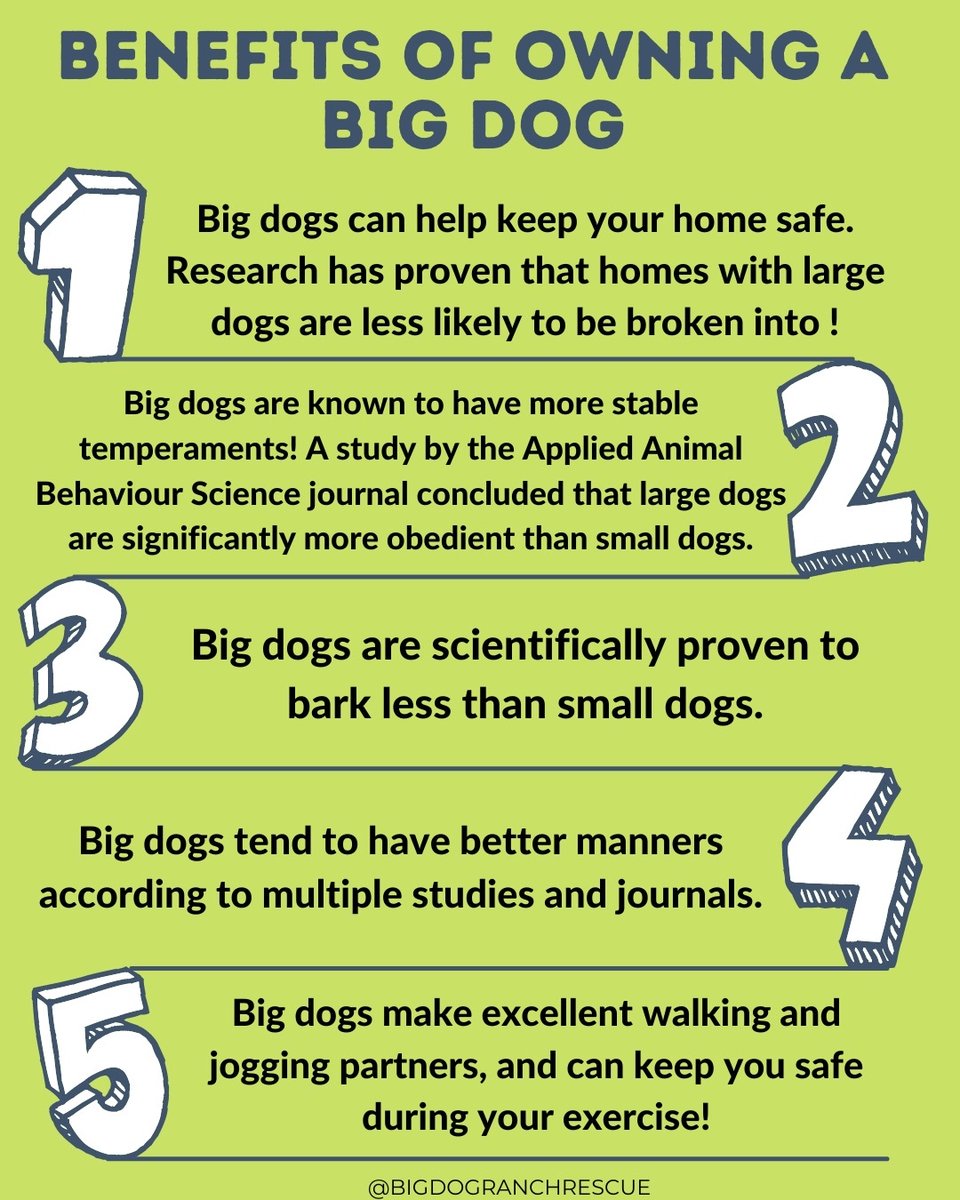 Every year, roughly 3.3 million dogs enter shelters and 670,000 are euthanized. Did you know the majority of those dogs euthanized are large breed dogs? There are SO many benefits to adopting a pet, and today we want to focus on the benefits of adopting a BIG dog 🐶