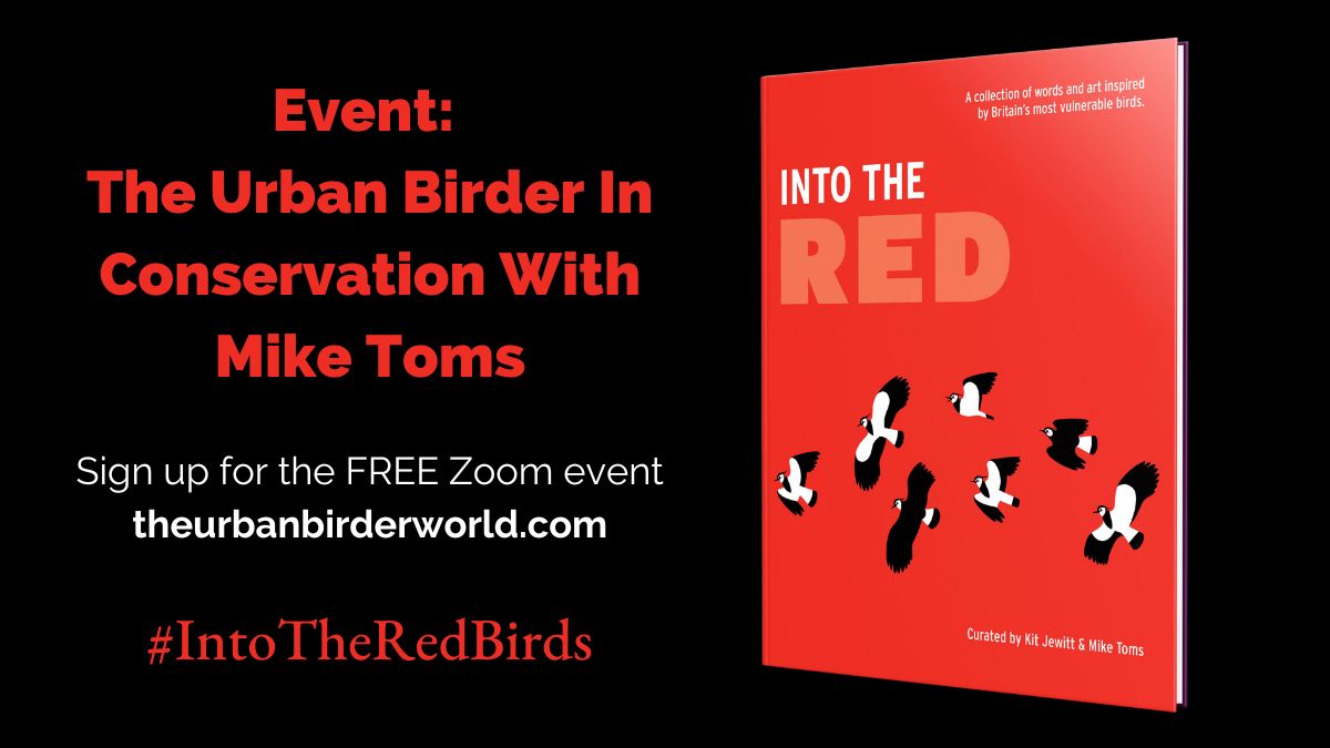 BTO (@_bto) on Twitter photo Join Mike and <a href="/urbanbirder/">The Urban Birder - OFFICIAL</a> for a fascinating conversation about taking science and conservation messages to wider audiences through art, poetry and the written word. 19 January, 7pm. Sign up FREE for the Zoom link 👉 theurbanbirderworld.com/tub-webinars/m… Join Mike and <a href="/urbanbirder/">The Urban Birder - OFFICIAL</a> for a fascinating conversation about taking science and conservation messages to wider audiences through art, poetry and the written word. 19 January, 7pm. Sign up FREE for the Zoom link 👉 theurbanbirderworld.com/tub-webinars/m…