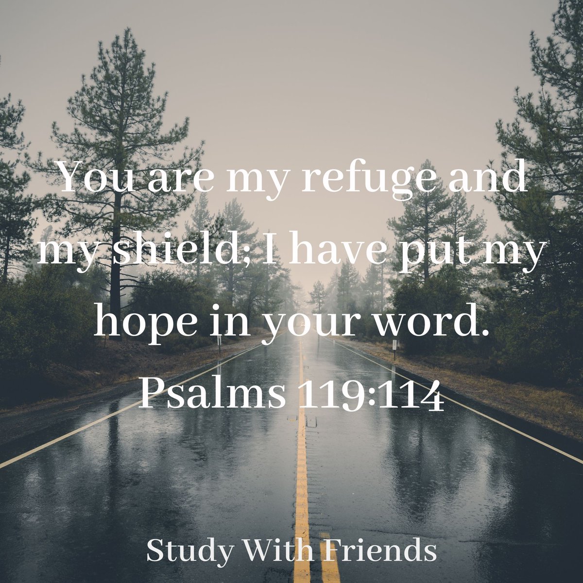 StudywFriends's tweet photo. #psalms #gospel #christianity #studyGodsword #studywithfriends #bible #faith #biblestudy #walkbyfaith #devotions #scripture
https://t.co/wKuiCV52kn https://t.co/RzlOf4rHHA