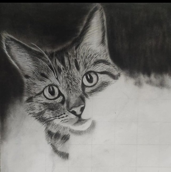 Processing.............