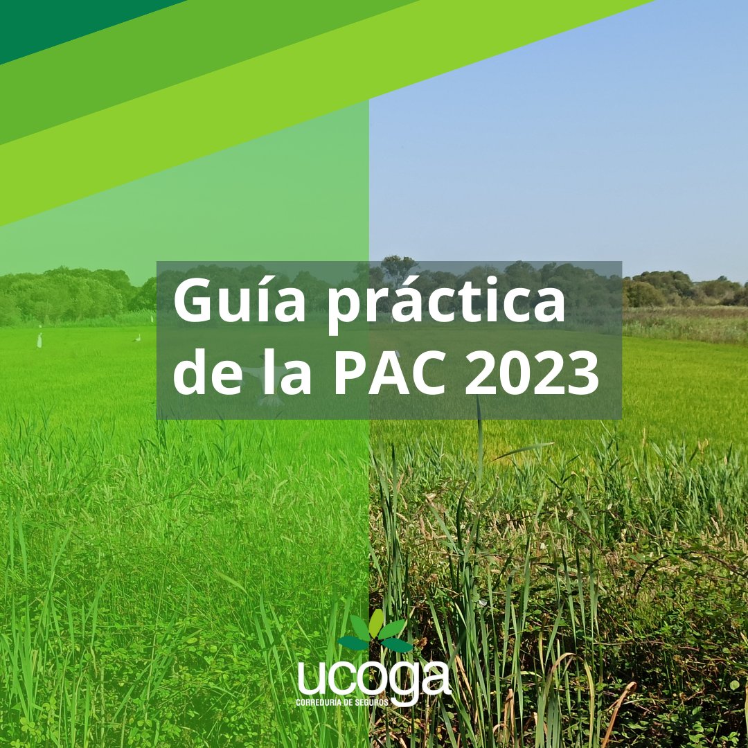 ¿Quieres conocer los nuevos cambios de la PAC 2023? 🌿🐄 

En Ucoga te lo contamos con pelos y señales, ¡toma nota! 📝

¿Quieres conocer todos los detalles? Puedes leer nuestro artículo al completo en nuestro blog #mundoucoga ⬇

lnkd.in/dw3yq_nG