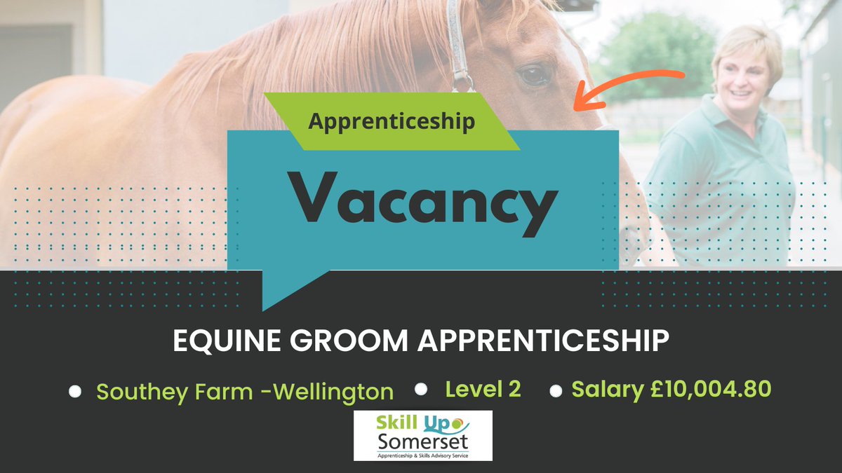 👮‍♀️Equine Groom Apprentice👮 📍 Southey Farm - Wrangway, Wellington 💼 Salary: £10,004.80 ⌚Closing Date: 8th March 2023 🔗 Get in touch: bit.ly/3IlGgD 👉 Link to apply: bit.ly/3GJ1sCH #skillup #wellingtonsomerset #equinejobs #apprentice #Somersetjobs