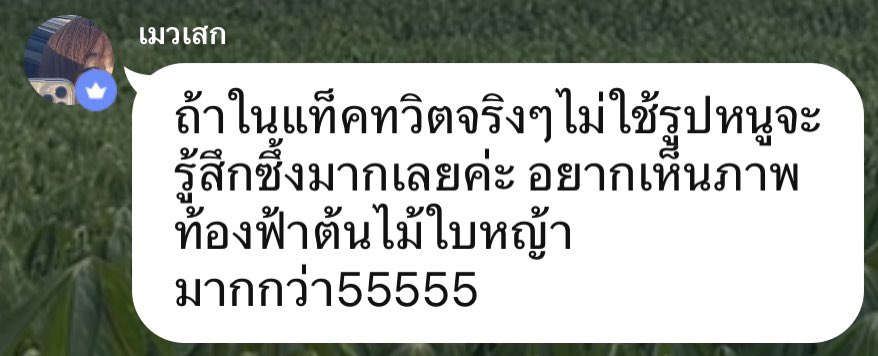 aexikii's tweet photo. มาครับขอเปิดด้วยใบหญ้าก่อนเลยครับ
#Miusic #Shakeshack https://t.co/YOs1zxnQNR