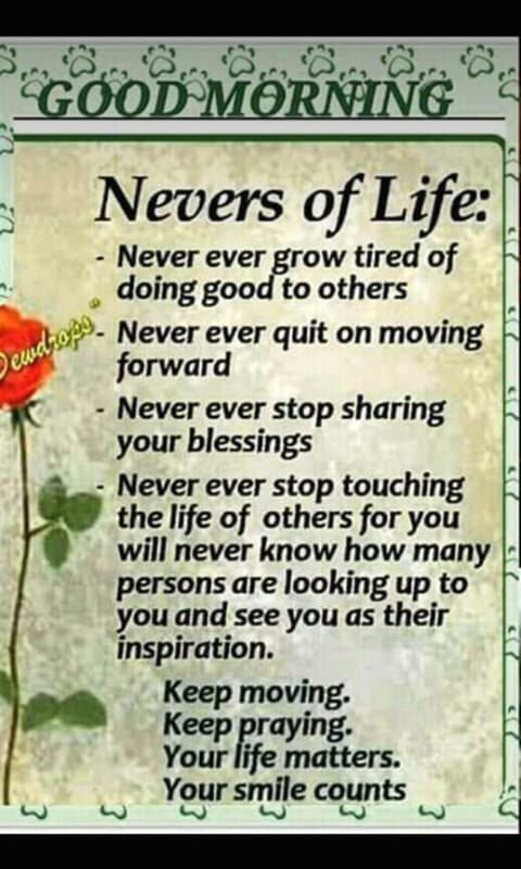 wapzeestore's tweet photo. #sayings #quotes2023 #wisewords #quotesdaily #mzansisayings #newquotes #quotesdaily #neversoflife #doinggoodtoothers https://t.co/DpcAThOrL7