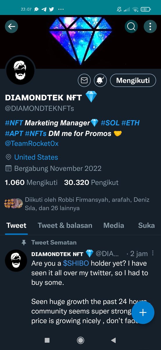 CHIP_UNGU's tweet photo. @DIAMONDTEKNFTs Done https://t.co/Uun2jecAHy