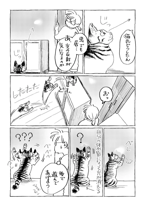雑日記
光の反射が面白いらしい。ワンダホーエブリデー。
日記なのでオチません。 