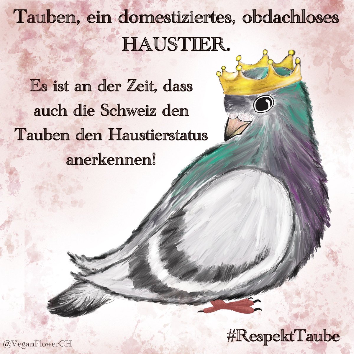 VeganFlowerCH's tweet photo. Hast du gewusst, dass wenn du in der #Schweiz einer Taube helfen möchtest folgendes möglich ist:
- nichts
- töten lassen durch TA/TÄ

Wenn Mensch einer #Taube hilft, drihen Bussen bis max. 70.000 schweizer Franken! https://t.co/7Khgl2GZ7r