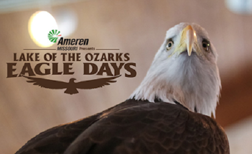 ABPest's tweet photo. Check Out the 24th Annual Lake of the Ozarks Eagle Days!
Get all the details about this event right here: 

https://t.co/lRmvwOWcip https://t.co/1ZDWCSaBQ3
