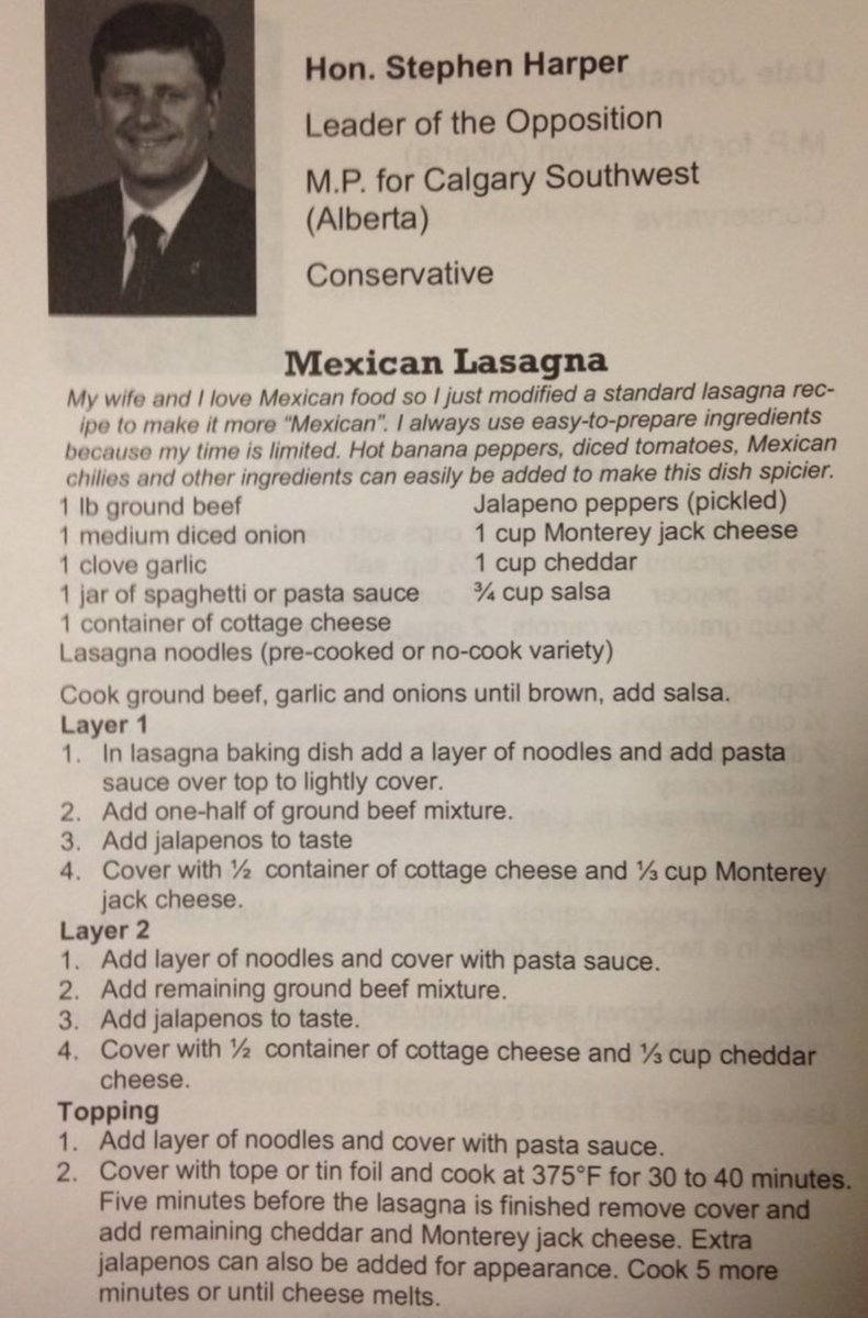 babe, you ok? you've barely touched your Stephen Harper's Mexican Lasagna