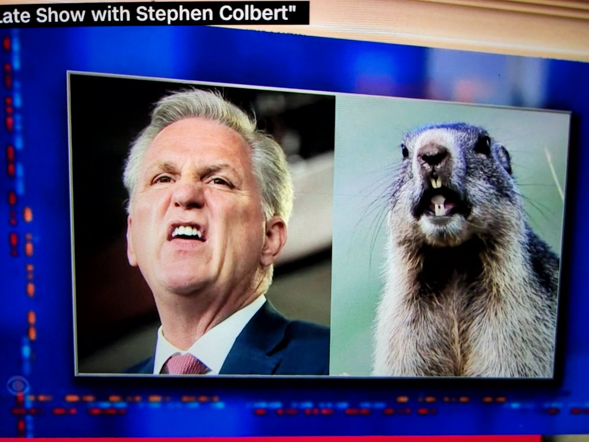 askgenieworld's tweet photo. @joncoopertweets The ground hog! https://t.co/jvgbLx5wq7