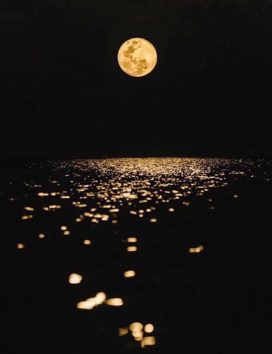 M1ONLOVER's tweet photo. moonlight reflection https://t.co/eIE9JLrGN0