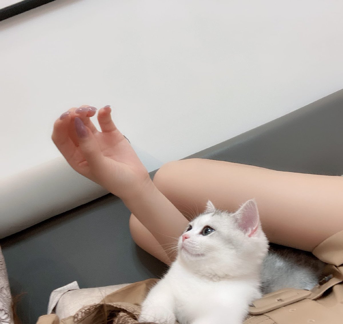 Keep yourself busy and enrich your life with books, balls and cats.